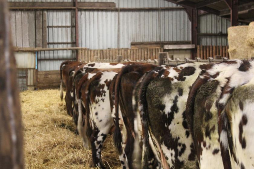 Assemblée générale