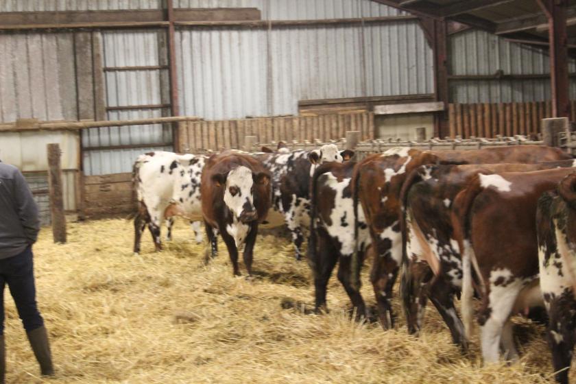 Assemblée générale